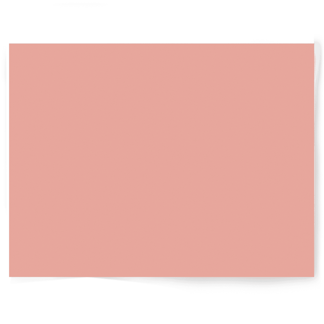 Pink Floral | Single-sided Backdrop