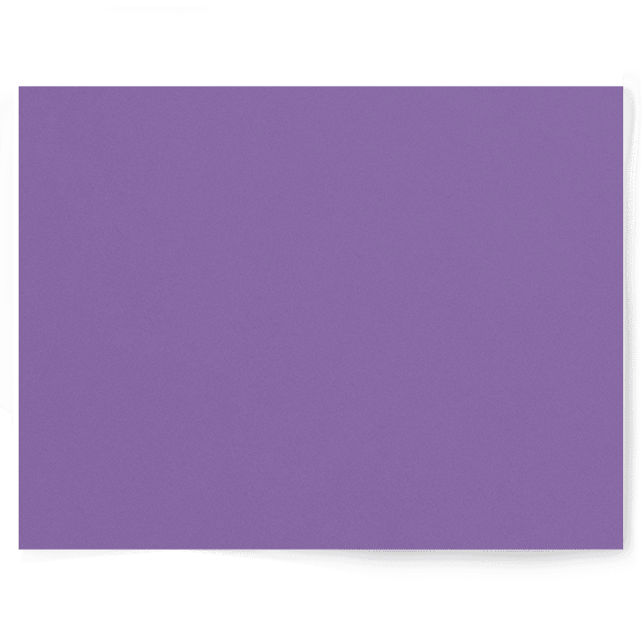 Twilight Lavender | Purple Single-sided Backdrop