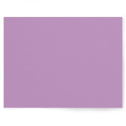 Light Lavender | Purple Single-sided Backdrop