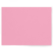 Peony Pink light baby pink solid colour Double-sided Backdrops - Backdrop Collective