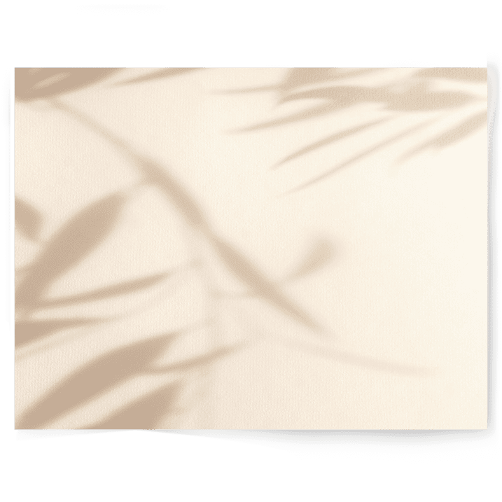 beige plant Shadow pattern double-sided vinyl photography backdrop - backdrop collective australia