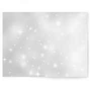 Silver Sparkle | Single-sided Backdrop