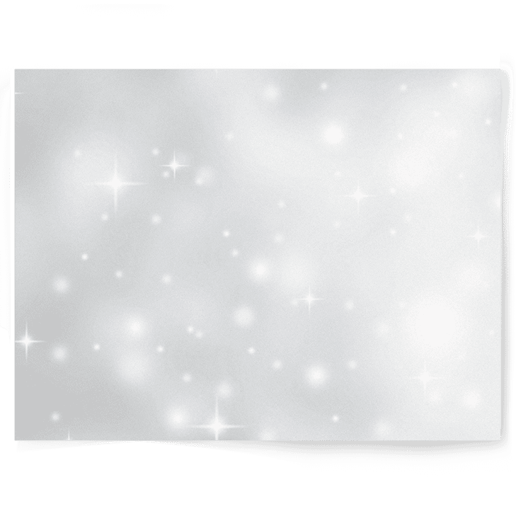 Silver Sparkle | Single-sided Backdrop