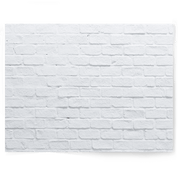 Whitewash Brick | Single-sided Backdrop