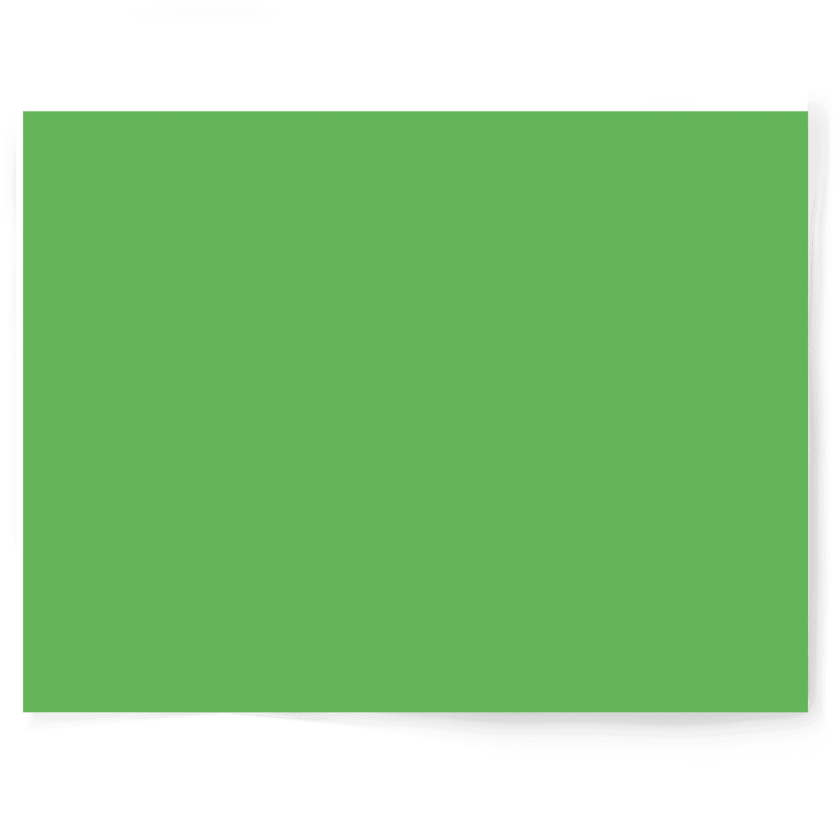 Citrus Green | Single-sided Backdrop