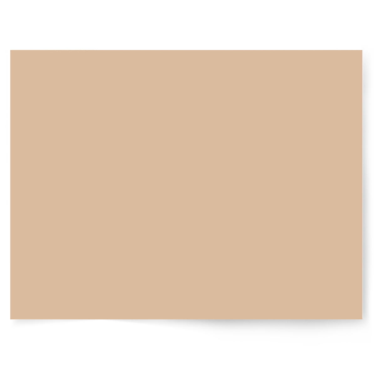 Sandalwood Beige | Single-sided Backdrop