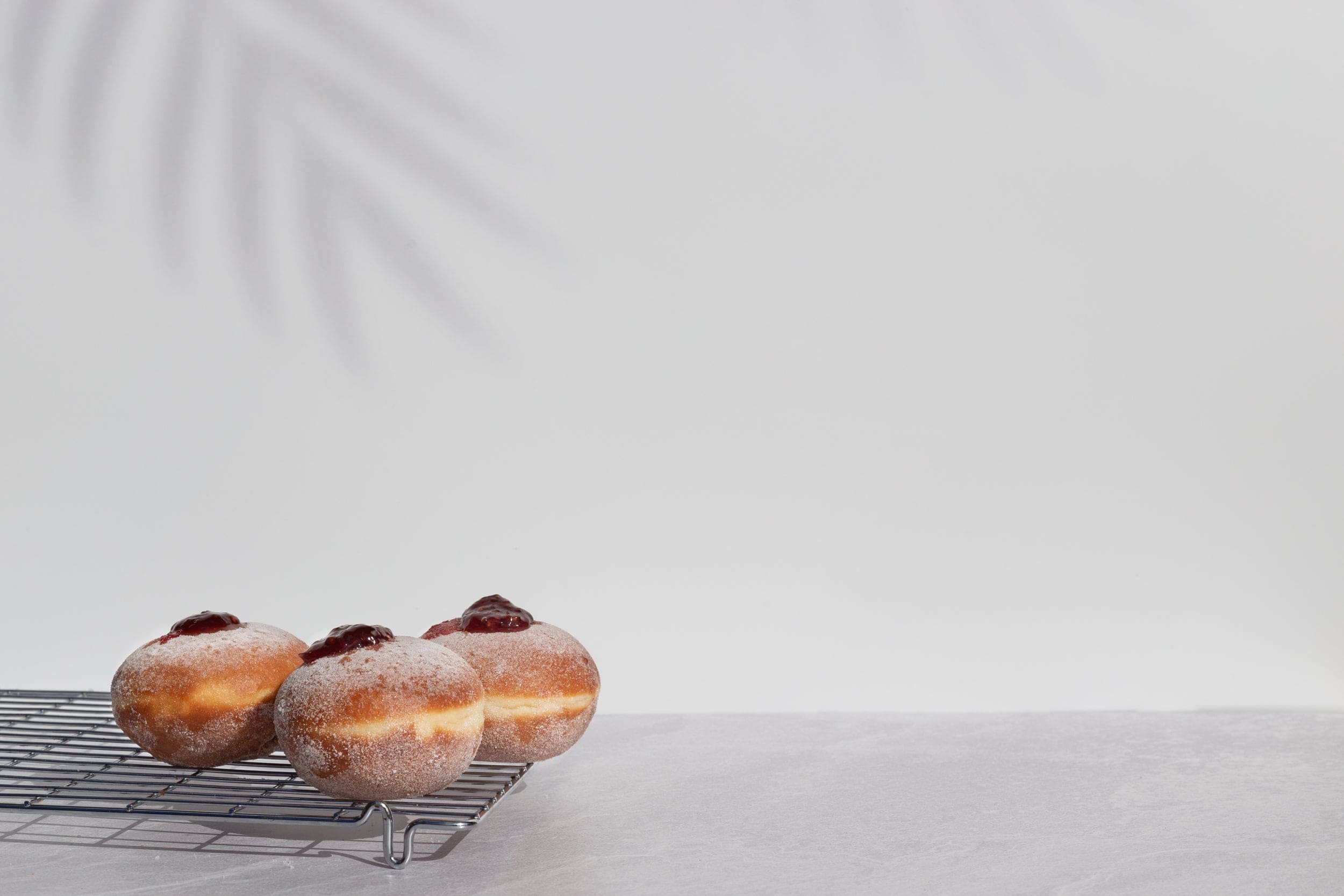 Palm Shadow | Single-sided Backdrop