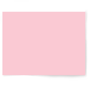 Soft Bubblegum Pink | Single-sided Backdrop