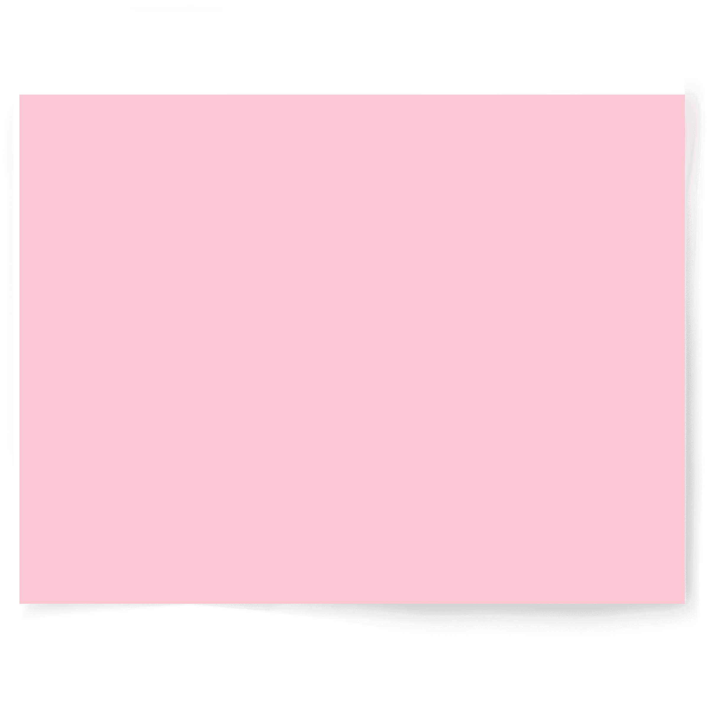 Soft Bubblegum Pink | Single-sided Backdrop